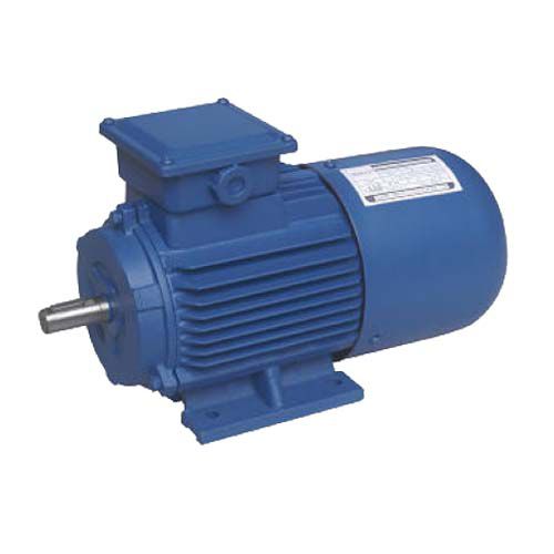 Асинхронный двигатель - HANGZHOU CHINABASE MACHINERY CO., LTD. - DC / 100 V / с короткозамкнутым якорем