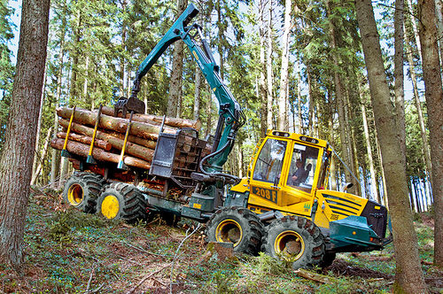 Грузовик для лесозаготовительных работ - HSM 208F 6WD 12t - HSM - Hohenloher Spezial-Maschinenbau GmbH & Co. K