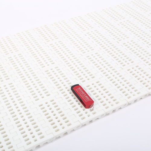 Модульная конвейерная лента - HS-100B/50.8MM - Huanan Xinhai (Shenzhen) Technology Co.,Ltd. - из пластика / для процесса / для овощей