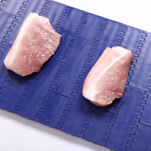 Модульная конвейерная лента - HS-100A/50.8MM Pitch - Huanan Xinhai (Shenzhen) Technology Co.,Ltd. - из PP / промышленная