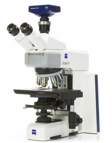 Оптический микроскоп - AxioScope A1 - Hitech Instruments - для лабораторий / для исследований / прямой