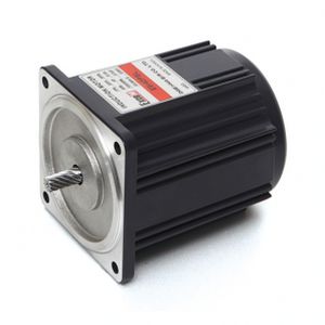 Реверсивный двигатель - E9R40 series - DAEHWA E/M CO.,LTD - синхронный / монофазовый / 220 В