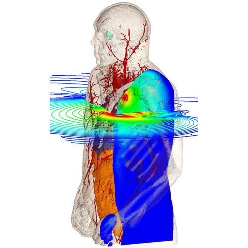 Программное обеспечение моделирования - Bioelectromagnetics Simulation - SIMULIA - для проектирования / испытательное / 3D-моделирования