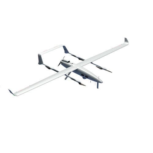 Беспилотник самолетного типа - ThunderB-VTOL - BlueBird Aero Systems - для картографии / для обеспечения безопасности снаружи помещений / для фотограмметрии