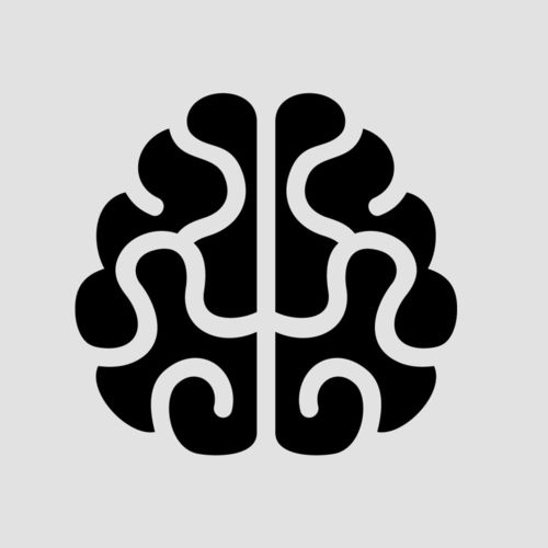 Программное обеспечение для расчетов - BRAIN2 - BIZERBA - для безопасности / для разработки / для базы данных ODBC