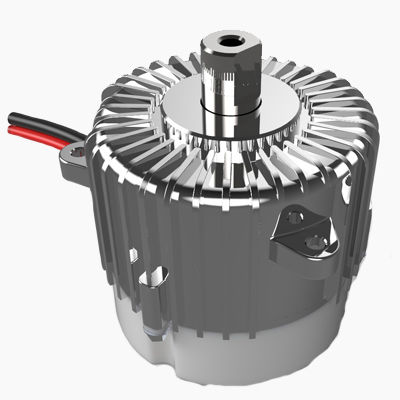 Бесщеточный двигатель - LM1000-36 - Ningbo New Guanlian Motor Electronic Co.,Ltd. - DC / 36 В / со встроенным контроллером