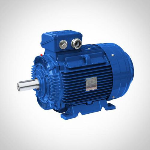 Асинхронный двигатель - SSWE Series - Fuzhou Wonder Electric Co.,Ltd. - AC / 400 В / из чугуна