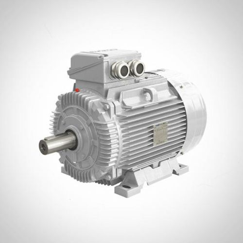 Асинхронный двигатель - SWE series - Fuzhou Wonder Electric Co.,Ltd. - 3-фазный / 400 В / из чугуна