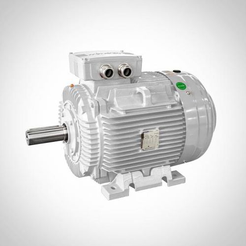 Асинхронный двигатель - WE series - Fuzhou Wonder Electric Co.,Ltd. - 3-фазный / 400 В / из чугуна