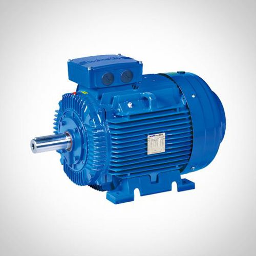 Асинхронный двигатель - ZWE series - Fuzhou Wonder Electric Co.,Ltd. - 3-фазный / 400 В / из чугуна