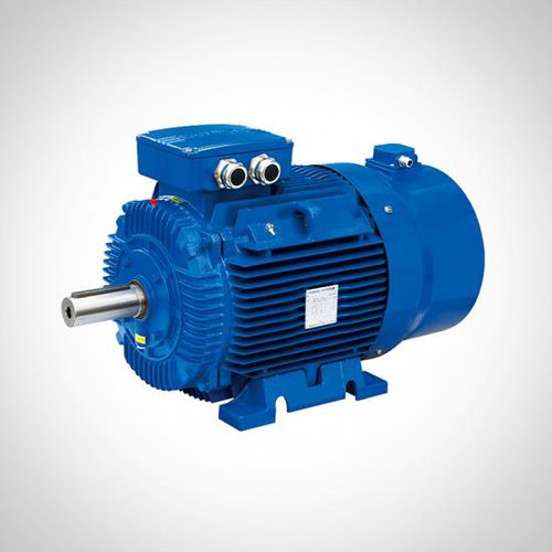 Индукционный двигатель - WVF series - Fuzhou Wonder Electric Co.,Ltd. - 3-фазный / 400 В / из чугуна