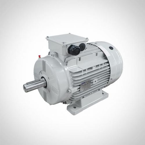 Синхронный двигатель - WSR Series - Fuzhou Wonder Electric Co.,Ltd. - AC / 400 В / IP55