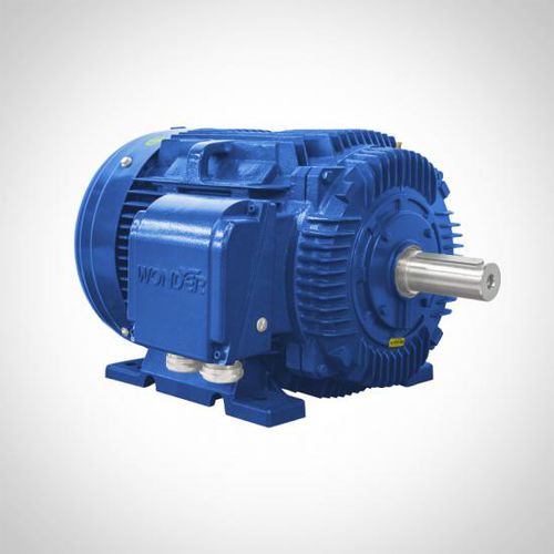 Асинхронный двигатель - NT series - Fuzhou Wonder Electric Co.,Ltd. - трехфазовый / из чугуна / IP55
