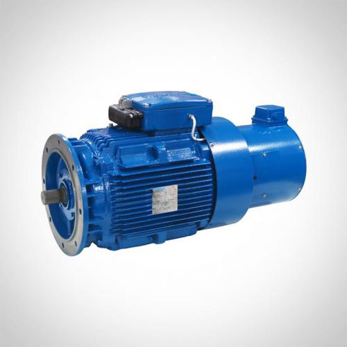Индукционный двигатель - WEAVF&WEVF series - Fuzhou Wonder Electric Co.,Ltd. - трехфазовый / с тормозом / IP55