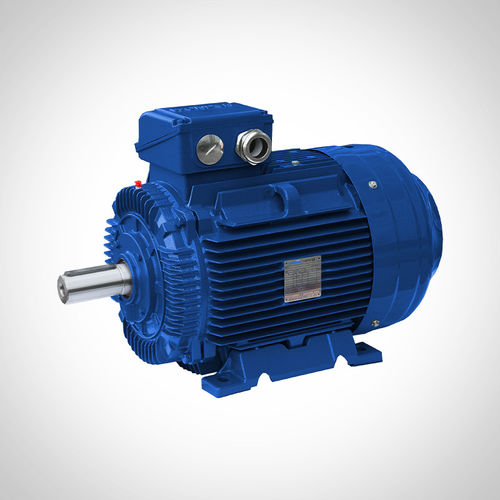 Асинхронный двигатель - SSWE160M1-2 - Fuzhou Wonder Electric Co.,Ltd. - трехфазовый / 400 В / из чугуна