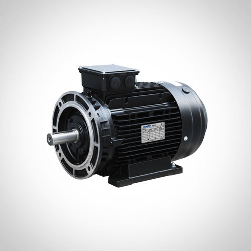 Индукционный двигатель - SSWEA132S1-2-5.5KW - Fuzhou Wonder Electric Co.,Ltd. - AC / IE4 / для использования в гидравлике