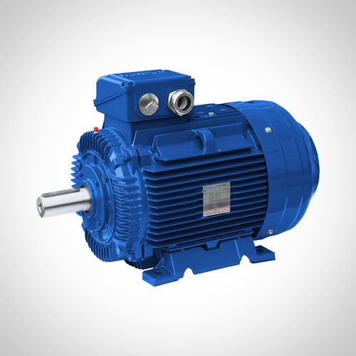 Индукционный двигатель - SWE-250M2-55KW - Fuzhou Wonder Electric Co.,Ltd. - AC / с защитой / IE3