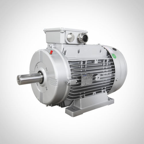 Асинхронный двигатель - SWEA160L4-15KW - Fuzhou Wonder Electric Co.,Ltd. - AC / IP55 / IE3