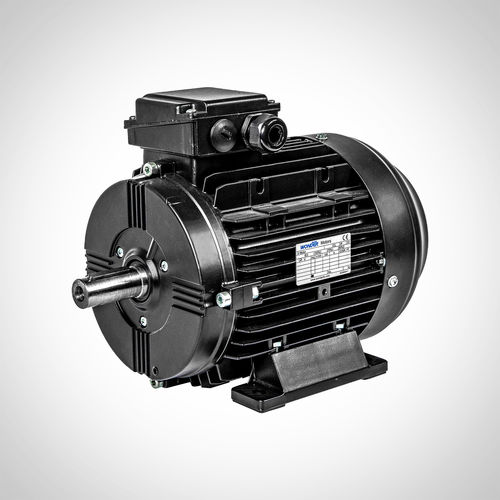 Асинхронный двигатель - SWEA160M4-11KW - Fuzhou Wonder Electric Co.,Ltd. - трехфазовый / IP55 / с алюминиевым каркасом
