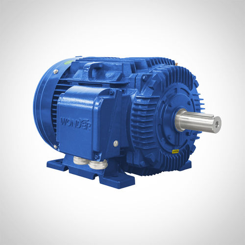 Индукционный двигатель - NT444T1-6-D-75HP - Fuzhou Wonder Electric Co.,Ltd. - AC / из чугуна / TEFC