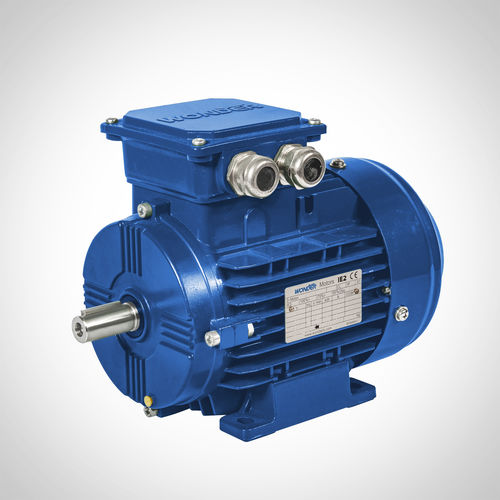 Двигатель с постоянными магнитами - WST71-1500-1.5KW - Fuzhou Wonder Electric Co.,Ltd. - синхронный / трехфазовый / 400 В