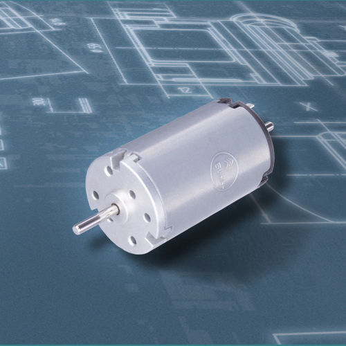 Щеточный двигатель - 1.13.021.302  - Bühler Motor GmbH - DC / 24 В / с постоянными магнитами