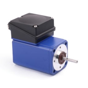 Индукционный двигатель - IGK 65 - GROSCHOPP AG Drives & More - монофазовый / IP54 / прочный