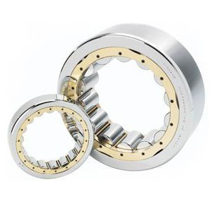 Роликовый цилиндрический подшипник - NF  - TIMKEN Europe - радиальный / однорядный / из стали