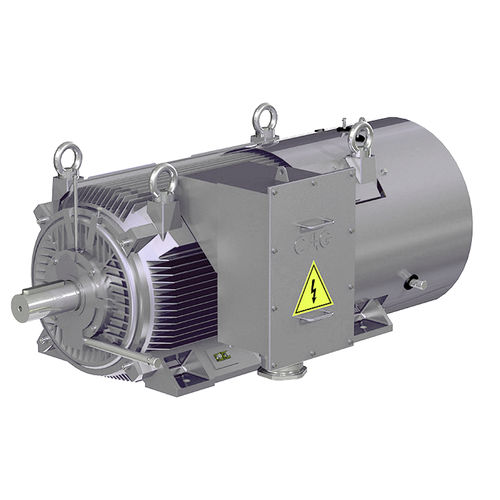 Двигатель высокого напряжения - HJK - CAG Electric Machinery s.r.o. - асинхронный / трехфазовый / с чугунной рамой