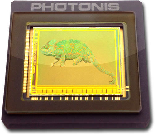 Датчик изображения CMOS - KAMELEON - PHOTONIS - цвет / монохромный / в твердом состоянии