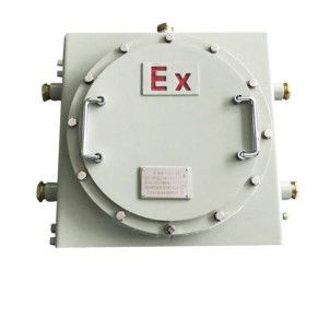 Взрывозащищенная соединительная коробка - JWBX-20C3 - Joiwo Explosion Proof Science and Technology - выступающая / IP65 / из углеродистой стали