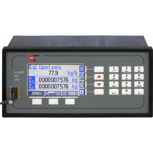 Измеритель расхода для жидкостей и газа - FP-3031 - Metronic AKP - с функцией подсчета / регистратор данных