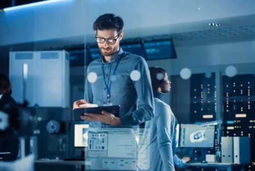 Программное обеспечение для управления - Digital Safety Manager - ANSYS - для анализа / для контроля / развития