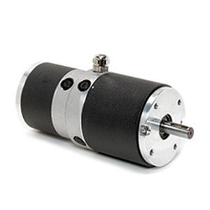 Синхронный двигатель - DPP640 - Electrocraft - DC / 48 В / 60V
