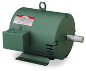 Асинхронный двигатель - Wattsaver® - LEESON Electric - AC / трехфазовый / 3-фазный