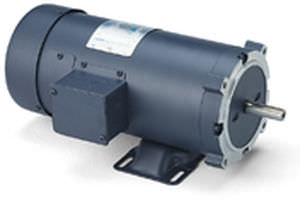 Синхронный двигатель - LEESON Electric - с постоянным током / 80 V / с постоянными магнитами