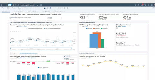 Программное обеспечение для управления финансами - S/4HANA Cloud for cash management - SAP - для контроля / для управления / для составления отчетности