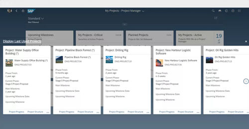 Программное обеспечение для анализа - Enterprise Portfolio and Project Management - SAP - для составления отчетности / для планирования / оптимизации