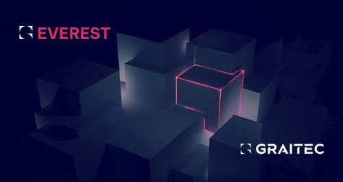 Программное обеспечение для анализа - Everest  - GRAITEC - для проектирования / разработки