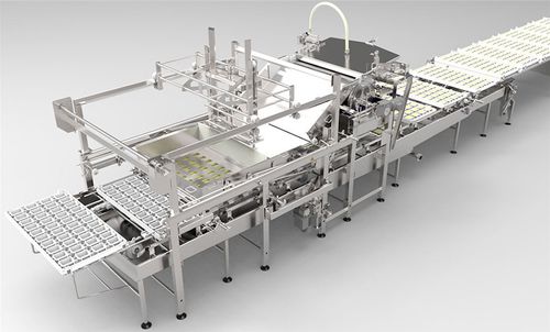 Машина для резки сыра на порции для твердых сортов - AFE - Alpma Alpenland Maschinenbau - для мягких сортов / механическая / полуавтоматическая