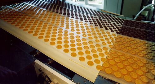 Ленточный конвейер - Baker Perkins Ltd. - для продуктов питания / для сельского хозяйства и пищевой промышленности