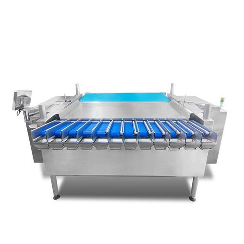 Линейная установка для взвешивания - TY-ZX122M100-01-11 - Zhongshan TO-U Packaging Machinery Co.,Ltd - непрерывного действия / для овощей / автоматическая