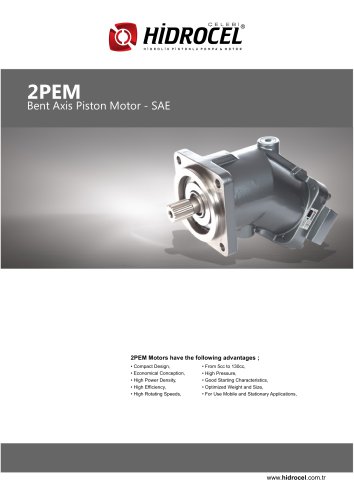 2PEM Bent Axis Motor