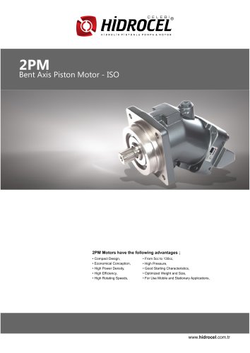 2PM Bent Axis Motor