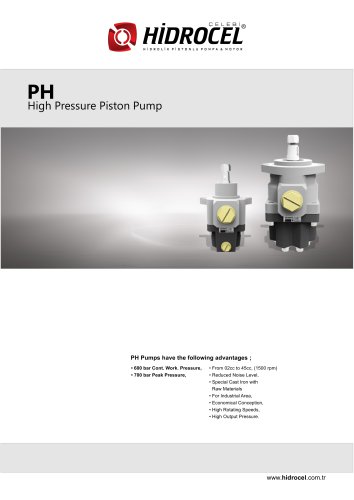 PH Piston pump