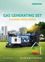 Natural gas generator set YANAN