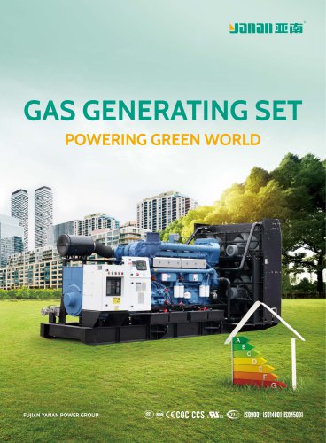 Natural gas generator set YANAN