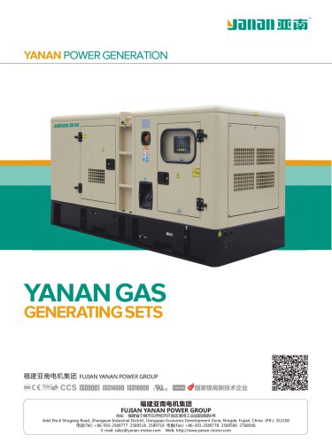 YANAN YN-YCG SERIES YUCAI GAS GENERATOR SETS