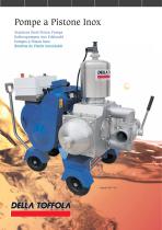 Stainless Steel Piston Pumps
