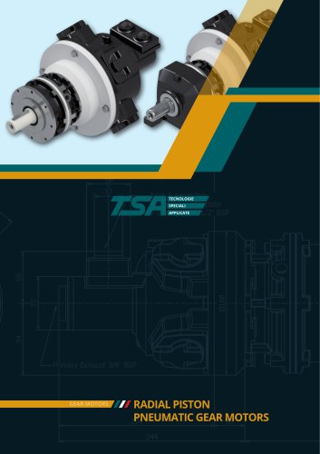 RADIAL PISTON PNEUMATIC GEAR MOTORS